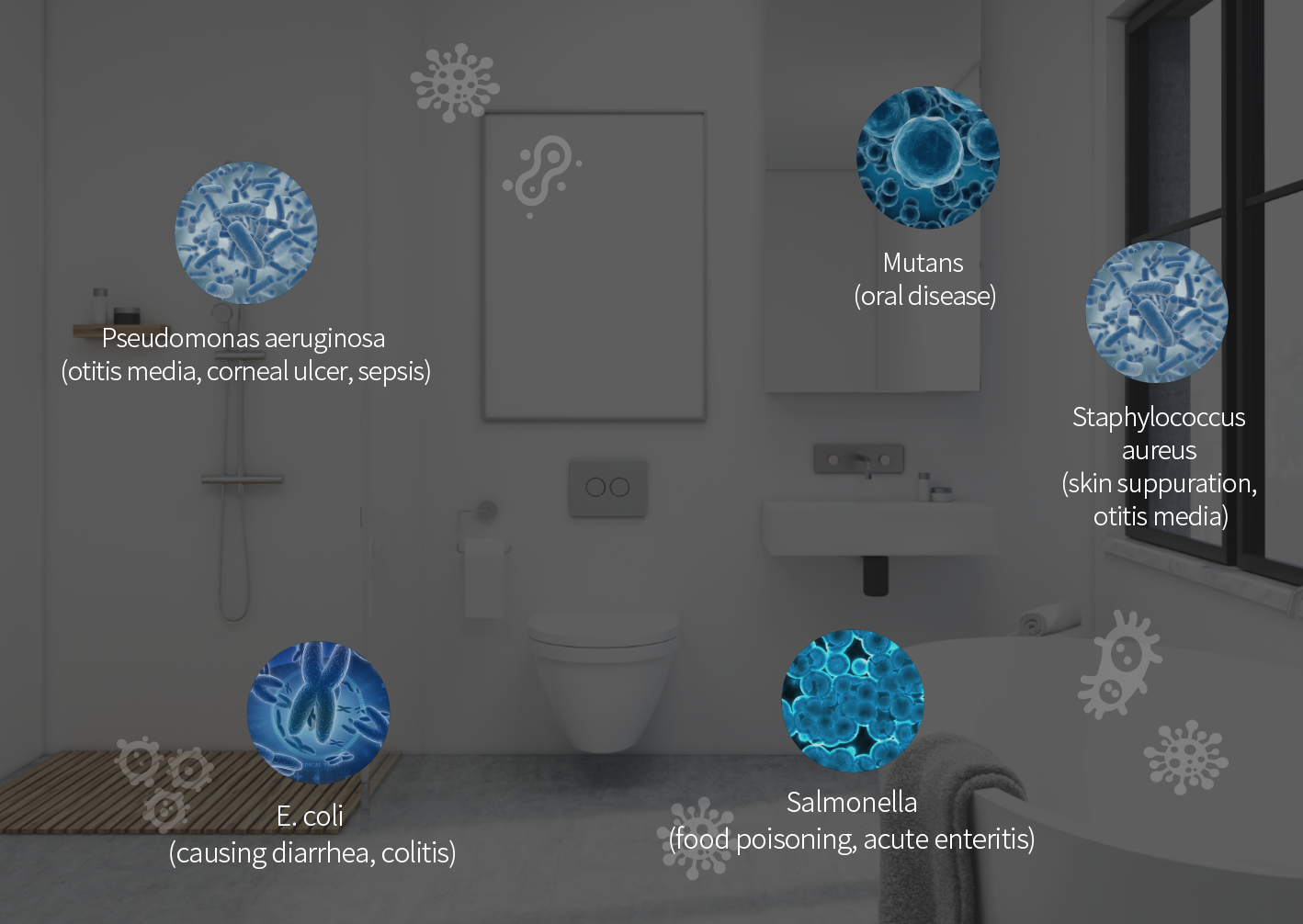 욕실 유해 5대 세균 99.9% 살균