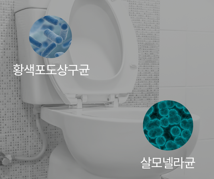 황색포도상구균, 살모넬라균 이미지