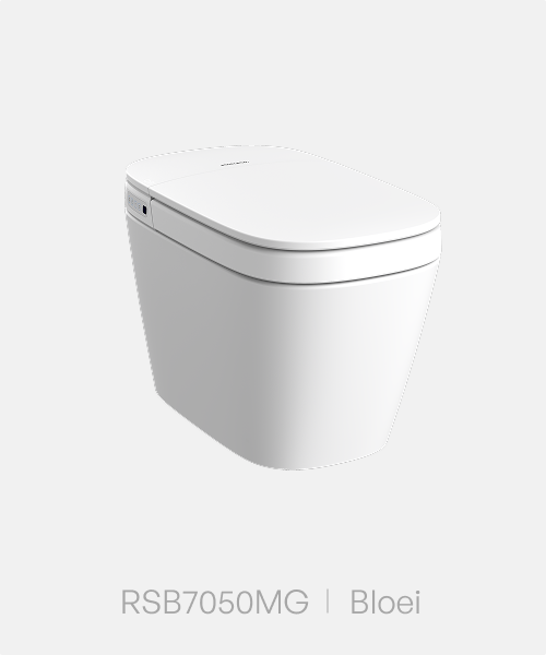 블로이